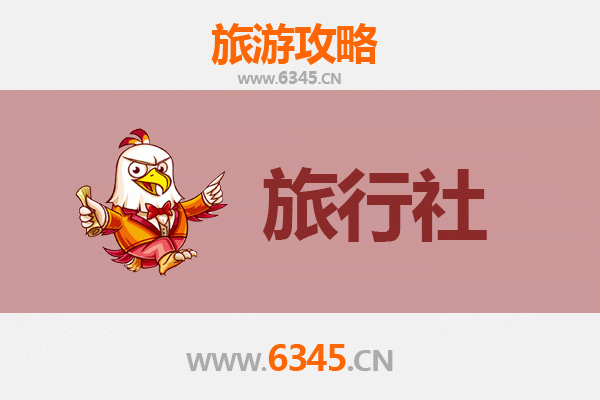 濮阳台前县旅行社精选推荐与深度游玩攻略
